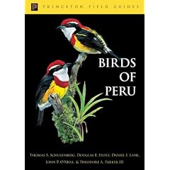 Birds of Peru (Princeton Field Guides)