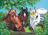 Reeves Painting On Canvas Paint By Number Kit 11