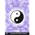 Symmetrical Yang Style T'ai-Chi Ch'uan Volume Two: The Complete 28 Form