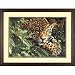Leopard in Repose PBN 20x14