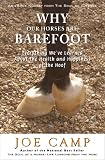 WHY OUR HORSES ARE BAREFOOT - Everything We've Learned About the Health and Happiness of the Hoof (eBook Nuggets from The Soul of a Horse)