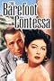 The Barefoot Contessa