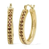 10k Yellow Gold Garnet Hoop Earrings