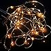 ER CHEN(TM) Battery Operated 50 LED String Lights on Silver Wire 16.5ft Long. For Use in Floral Arrangements Party, Wedding Decorating and More (Warm White)