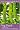 Veg Patch: River Cottage Handbook No.4