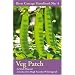 Veg Patch: River Cottage Handbook No.4 (River Cottage Handbook 4)