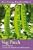 organic gardening home
