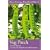 Veg Patch: River Cottage Handbook No.4 (River Cottage Handbook 4)