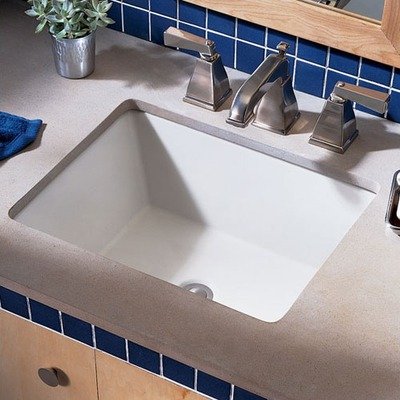Boulevard 6 Undermount Sink Finish: Bone