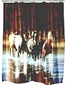 Running Horse Shower Curtain