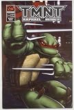Teenage Mutant Ninja Turtles Movie Prequel #1-5 (TMNT: Raphael, TMNT: Michelangelo, TMNT: Donatello, TMNT: April, TMNT: Leonardo)