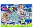 Littlest Pet Shop Figures Themed Playset Arctic Adventure #2