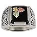 Onyx Black Hills Silver Mens Ring title=