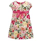 Toddler Girls' Genuine Kids from OshKosh Floral Tiered Dress