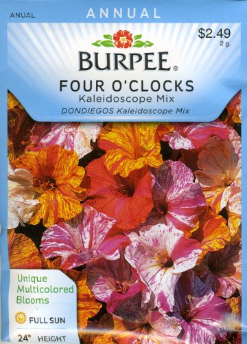 Burpee 33475 Four O'Clocks Kaleidoscope Seed Packet