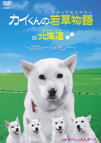 カイくんの若草物語in北海道~スウィートメモリー~/カイくんとわんダース [DVD]