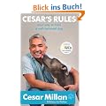 Cesar's Rules