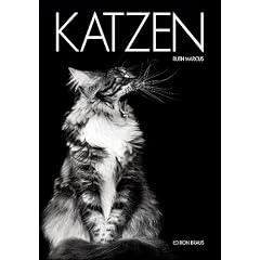 Katzen