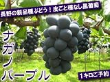 人気のカルチャー「フルーツカービング」と「簡単に食べられるフルーツ」~使えるアイデアハウスより~ 人気のカルチャー「フルーツカービング」と「簡単に食べられるフルーツ」~使えるアイデアハウスより~