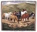 Cripple Creek Remunda Horse Scene Tapestry Throw 50