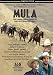 Mula. Vaquero Seven. The Old Spanish Trail