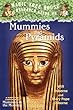 Mummies and Pyramids: A Nonfiction Companion to Mummies in the Morning (Magic Tree House Research Guides (Pb))