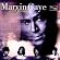 Marvin Gaye and Friends