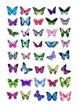 from eShack 40 x Mixed Colour Butterflies Edible Cake Toppers (Wedding, Birthday, Cupcake topper by eShack) Model CT010
