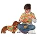 Alex Pooch Poncho