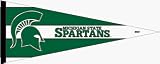 Michigan State University Spartans Pennant