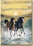 Polar Fleece 60 X 50 Running Horses Throw Blanket