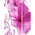 Fl�chenvorhangpaneel ~ Motiv: Magnolia (3er Set) ~ Ma�e: je 60x245cm (Breite x H�he) ~ Fl�chenvorhang / Gardine / Vorhang