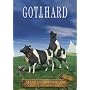 Gotthard : Made In Switzerland - Live In Z�rich (i&hellip <b>DVD</b> ~ Gotthard