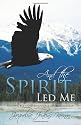 And the Spirit Led Me: Walking with God Through a Church Disaster