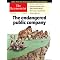essential newspapers and magazines