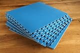 Interlocking Blue Gym Play mats 8 pack 32 sq ft