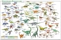 Dinosaur Evolution (Illustrated) Art Poster Print - 24" X 36"