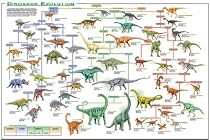 Dinosaur Evolution (Illustrated) Art Poster Print - 24" X 36"