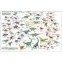 Dinosaur Evolution (Illustrated) Art Poster Print - 24" X 36"