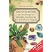Bases pour Grimoire Naturel