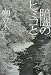 暗闇のヒミコと