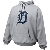 Nike Detroit Tigers Ash Pre-Game Hoody Sweatshirt