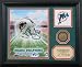 Miami Dolphins Team Pride Photo Mint