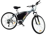International Surrey Company Volt Electric Bicycle (Gray)