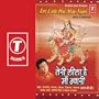 Teri Leela Hai Maa Nyari