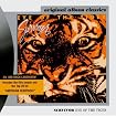 Eye of the Tiger