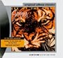 Eye of the Tiger