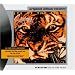 Eye of the Tiger