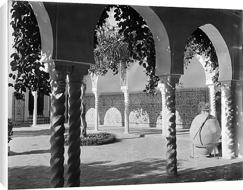 Canvas Prints of Djenan-el-Mufti from Country Life 
