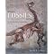 Paleontology Books